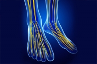 Charcot Marie Tooth Disease and the Feet